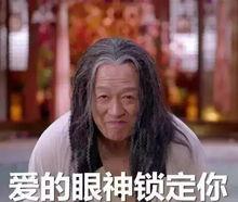 sm叫主人表情包,网络文化中的趣味与情感共鸣